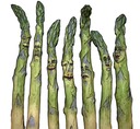  asparagi-new-web