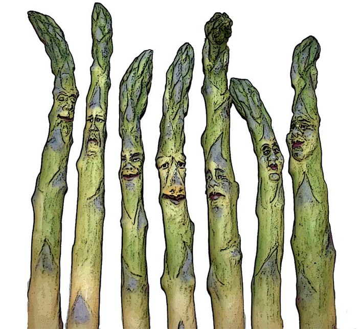  asparagi-new-web