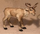 reindeer cookie poster edge